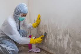 Mold Removal for HVAC Installations in Baker City, OR